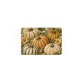 Heirloom Pumpkin Plate 12 x 8 in Metal Tin Sign