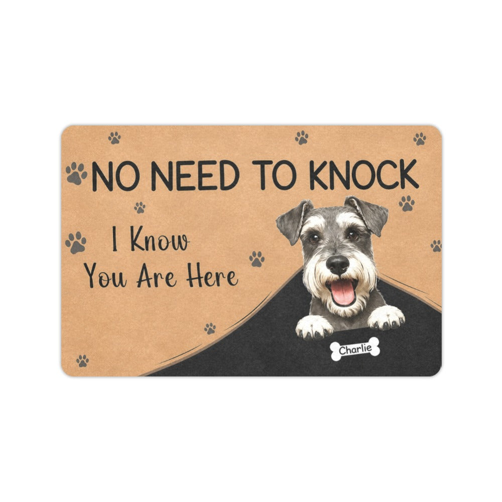 No Need to Knock 23.6 x 15.7 in Doormat