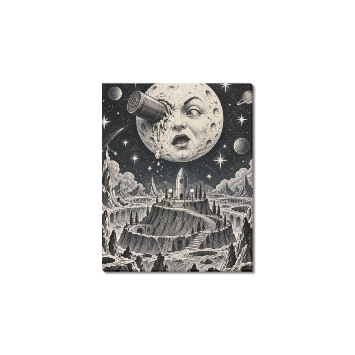 Rocket-Eye Moon Garden Frame Canvas Print 8"x10"