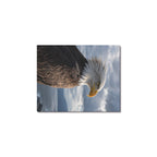Bald Eagle Windward Profile Frame Canvas Print 8"x10"