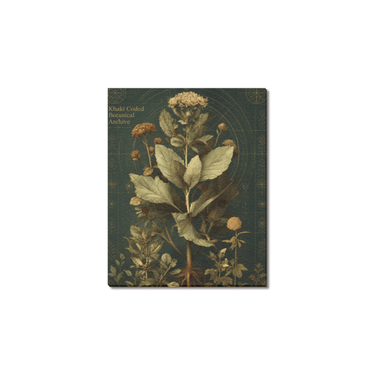 Khaki Coded Botanical Archive Frame Canvas Print 8"x10"