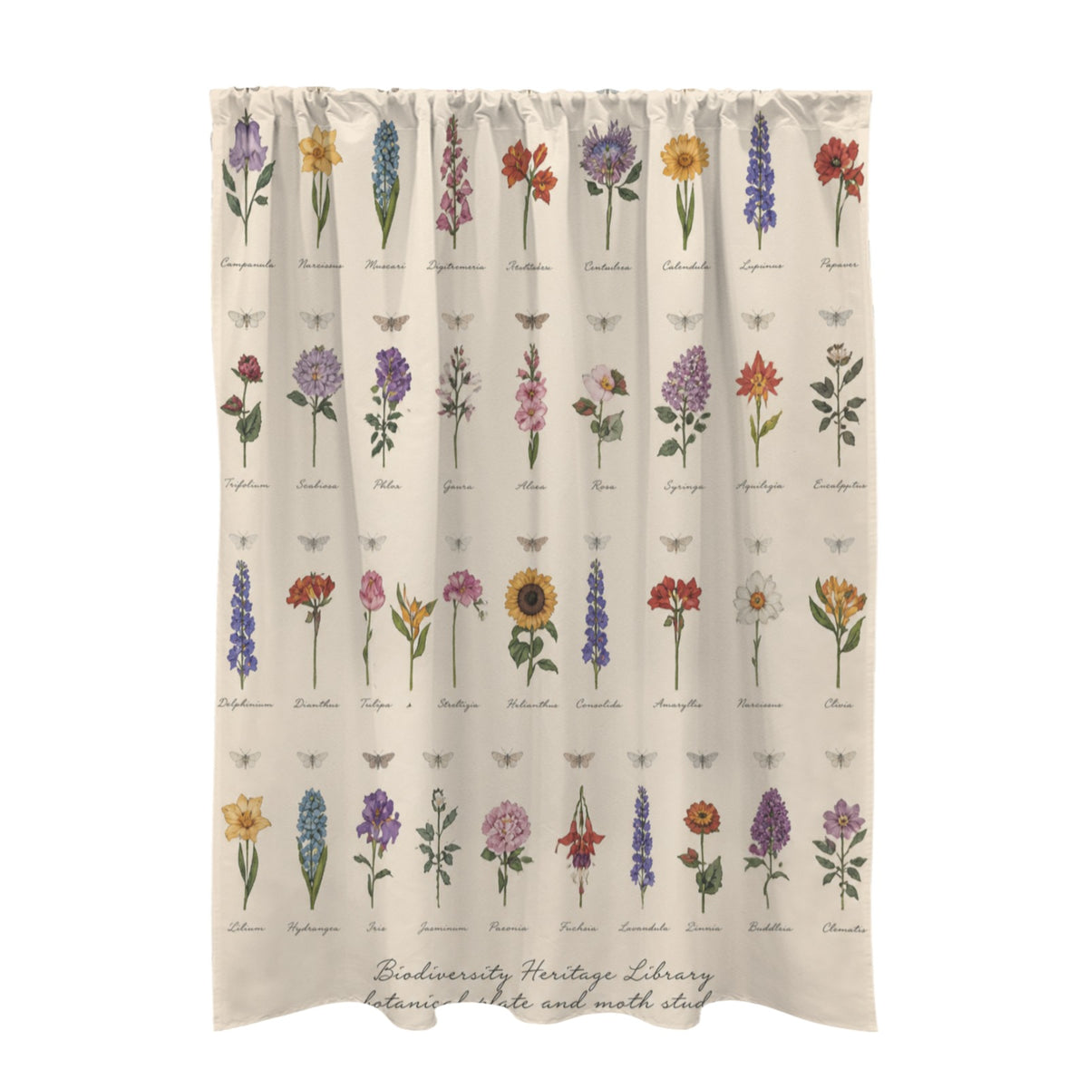 Wildflower Moth Plate 51 x 72 in Door Curtain (QUE)