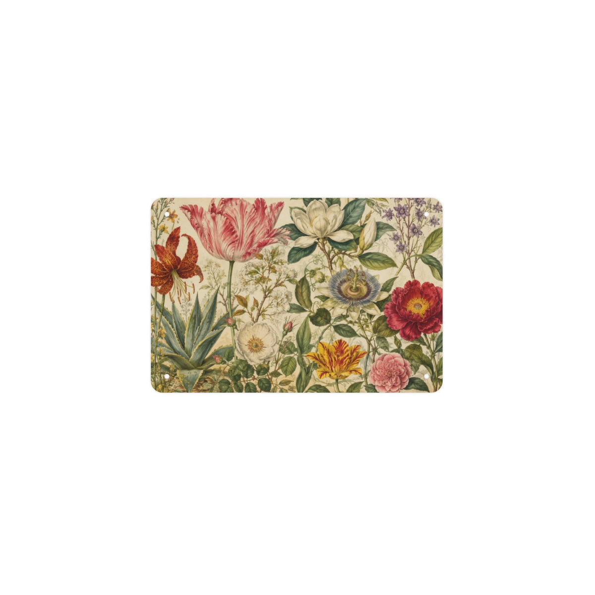 Botanical Plate 34 12 x 8 in Metal Tin Sign