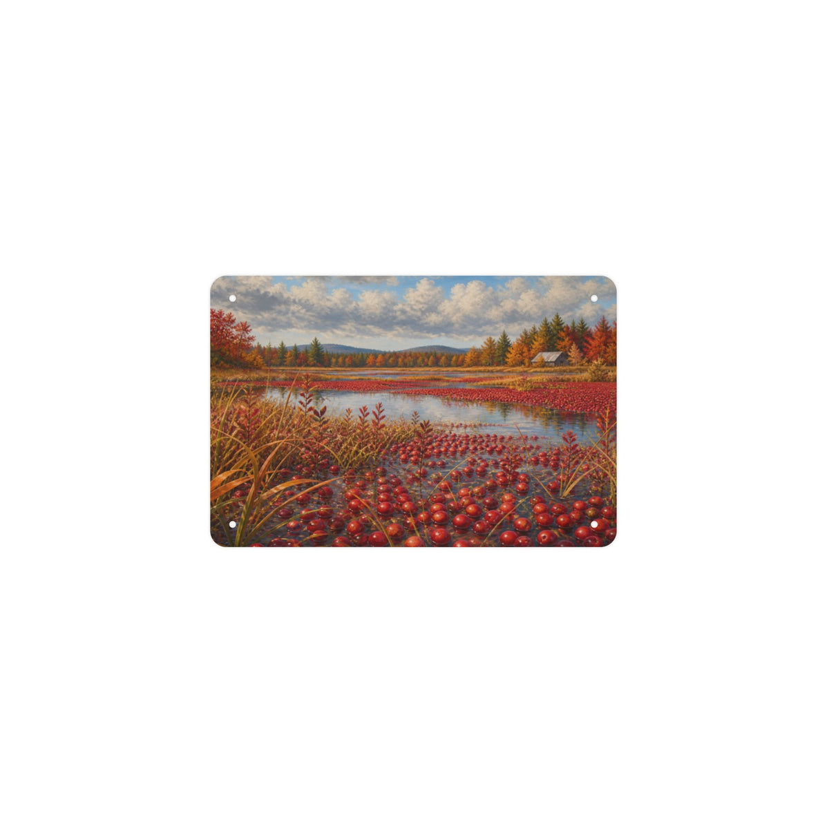 Cranberry Bog Harvest 12 x 8 in Metal Tin Sign
