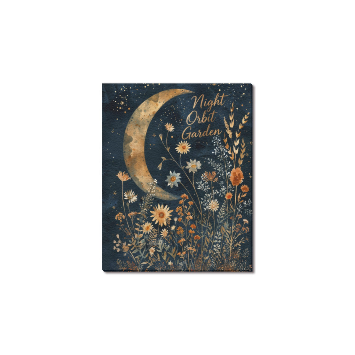 Night Orbit Garden Frame Canvas Print 8"x10"
