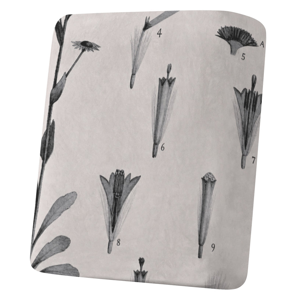 Black Floral Velvet Botanical 25 x 27.5 x 8 in Sofa Cushion Cover